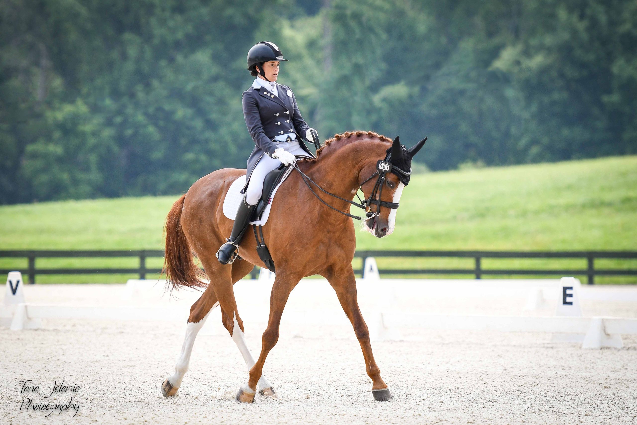 CDCTA Dressage Recognized Show at Great Meadow