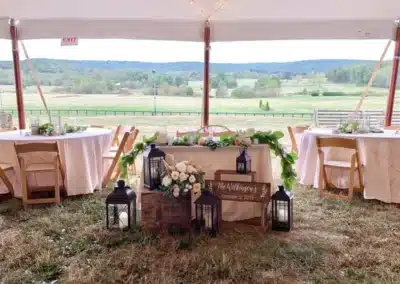 Wedding reception at Great Meadow