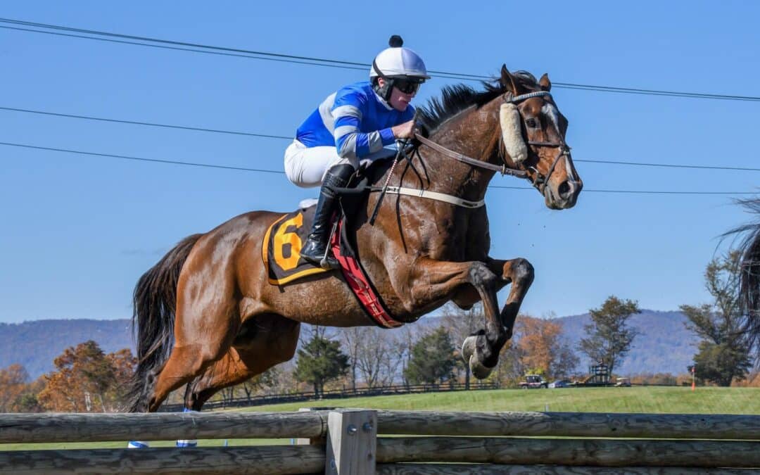 Largest steeplechase event in the country returns to Virginia this month