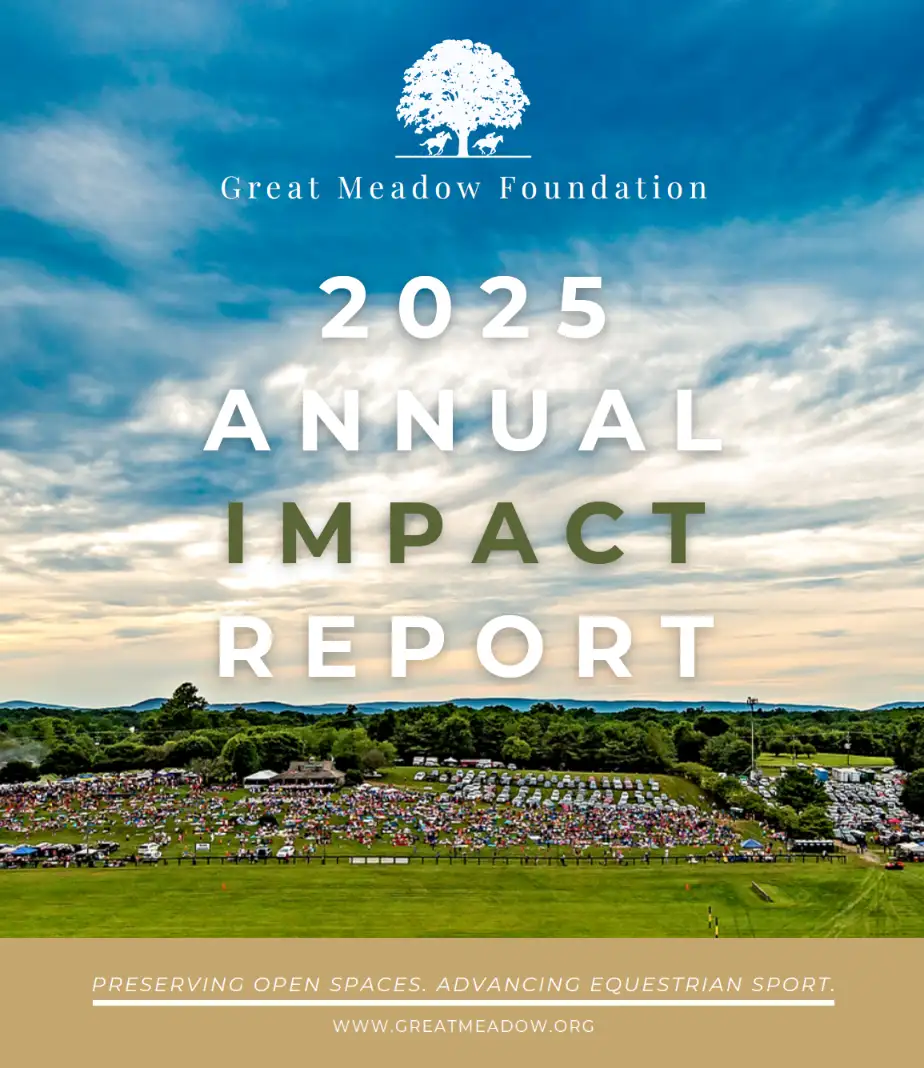 2025 Annual Impact Report